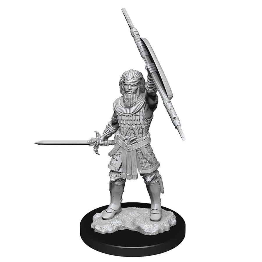 WK90144 Nolzur's Marvelous Miniatures Human Fighter Male Wave 13 image 0